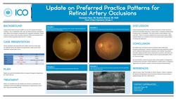 Update on Preferred Practice Patterns for Retinal Artery Occlusions